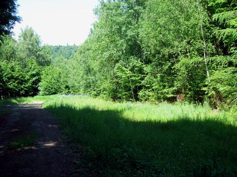 Foto 162